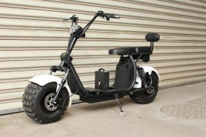 Elektrické koloběžky, elektrické tříkolky, elektrické bugginy, elektrický skútr, náhradní díly, elektrické motorky.