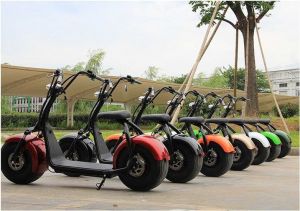 Elektrické koloběžky, elektrické tříkolky, elektrické bugginy, elektrický skútr, náhradní díly, elektrické motorky.