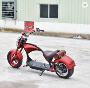 Elektrické koloběžky, elektrické tříkolky, elektrické bugginy, elektrický skútr, náhradní díly, elektrické motorky.