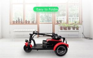 Elektrické koloběžky, elektrické tříkolky, elektrické bugginy, elektrický skútr, náhradní díly, elektrické motorky.