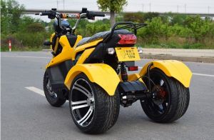 Elektrické koloběžky, elektrické tříkolky, elektrické bugginy, elektrický skútr, náhradní díly, elektrické motorky.