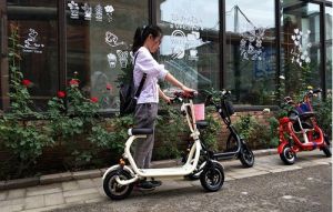 Elektrické koloběžky, elektrické tříkolky, elektrické bugginy, elektrický skútr, náhradní díly, elektrické motorky.