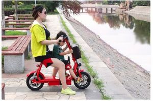 Elektrické koloběžky, elektrické tříkolky, elektrické bugginy, elektrický skútr, náhradní díly, elektrické motorky.