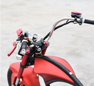 Elektrické koloběžky, elektrické tříkolky, elektrické bugginy, elektrický skútr, náhradní díly, elektrické motorky.