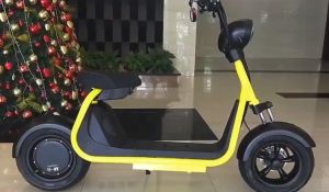 Elektrické koloběžky, elektrické tříkolky, elektrické bugginy, elektrický skútr, náhradní díly, elektrické motorky.