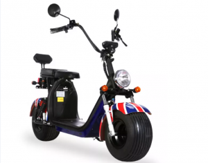 Elektrické koloběžky, elektrické tříkolky Sunway T-Max Chopper 2018 barva černa 1500w 20ah. Elektrické koloběžky, elektrické tříkolky