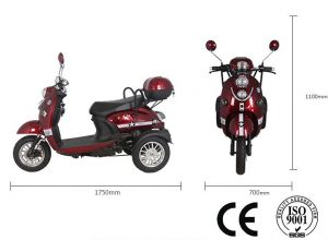 Elektrické koloběžky, elektrické tříkolky Elektrický skútr tříkolka 1000 W 20 Ah luxusní design dojezd 60 km Elektrické koloběžky, elektrické tříkolky