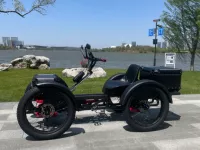 Elektrická čtyřkolka 1000w 32Ah 60v do terénu  Elektrická čtyřkolka 1000w 32Ah 60v do terénu