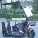 Elektrická tříkolka určená pro převoz osob na invalidním vozíku.

