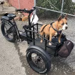 Elektrické koloběžky, elektrické tříkolky Elektrický kolo tříkolka 750 W 18Ah Elektrické koloběžky, elektrické tříkolky Elektrické koloběžky, elektrické tříkolky Elektrický kolo tříkolka 750 W 18Ah Elektrické koloběžky, elektrické tříkolky