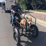 Elektrické koloběžky, elektrické tříkolky Elektrický kolo tříkolka 750 W 18Ah Elektrické koloběžky, elektrické tříkolky Elektrické koloběžky, elektrické tříkolky Elektrický kolo tříkolka 750 W 18Ah Elektrické koloběžky, elektrické tříkolky