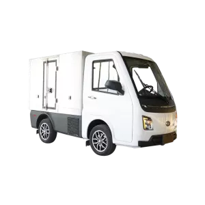 Elektrická nákladní vozidla a dodávky (N1,  N2,  N3)