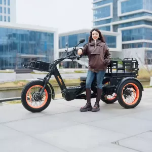 Elektrické koloběžky, elektrické tříkolky Elektrický kolo tříkolka 1750 W / 48v 60Ah dojezd 200km Elektrické koloběžky, elektrické tříkolky